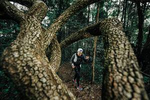 BIB: 
                            <button type="button" onclick="openModal(25392975)" class="btn btn-primary btn-sm float-right btn-popup" data-toggle="modal" data-target=".modal-high-quality">
                        <i class="fas fa-shopping-cart"></i> Add to Cart
                    </button>
                                            <button type="button" onclick="isThisMe(25392975, true)" class="btn btn-success btn-sm float-right btn-popup btn-isme hidden" data-toggle="tooltip" data-placement="bottom" title="นี่คือรูปของคุณใช่ไหม คลิกที่นี่เพื่อเอาเข้าอัลบั้ม">
                        <i class="fas fa-plus"></i> Add to album
                    </button>
                    <button type="button" onclick="isThisMe(25392975, false)" class="btn btn-warning btn-sm float-right btn-popup btn-isnotme hidden">
                        <i class="fas fa-ban"></i> Remove from album
                    </button>